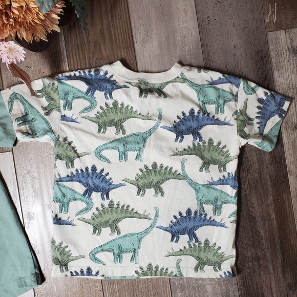 Boys Casual T-Shirt Bundle | Wonder Nation & Carter's | Size XS 4-5 and 5T | EUC - Picture 8 of 13